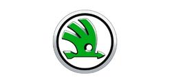 Otomotiv / Skoda Oto Anahtar